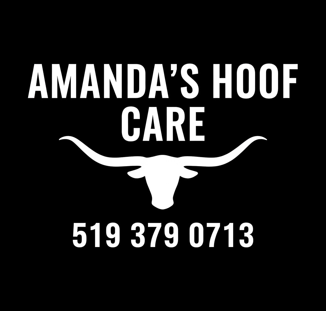 Holmdale Pro Rodeo